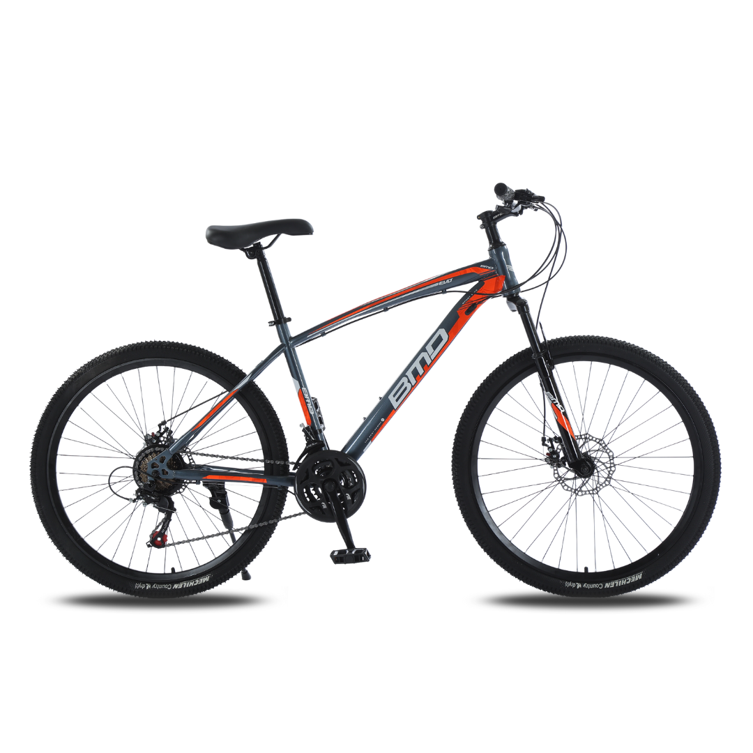 Bicicleta BMD Rodado 26